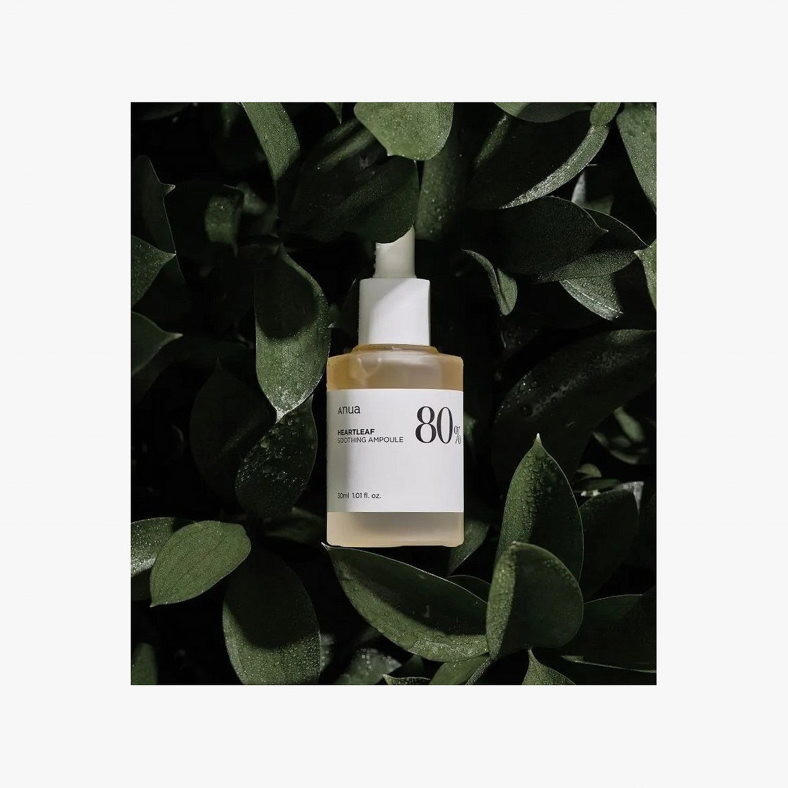 Anua Heartleaf 80% Soothing Ampoule 30ml