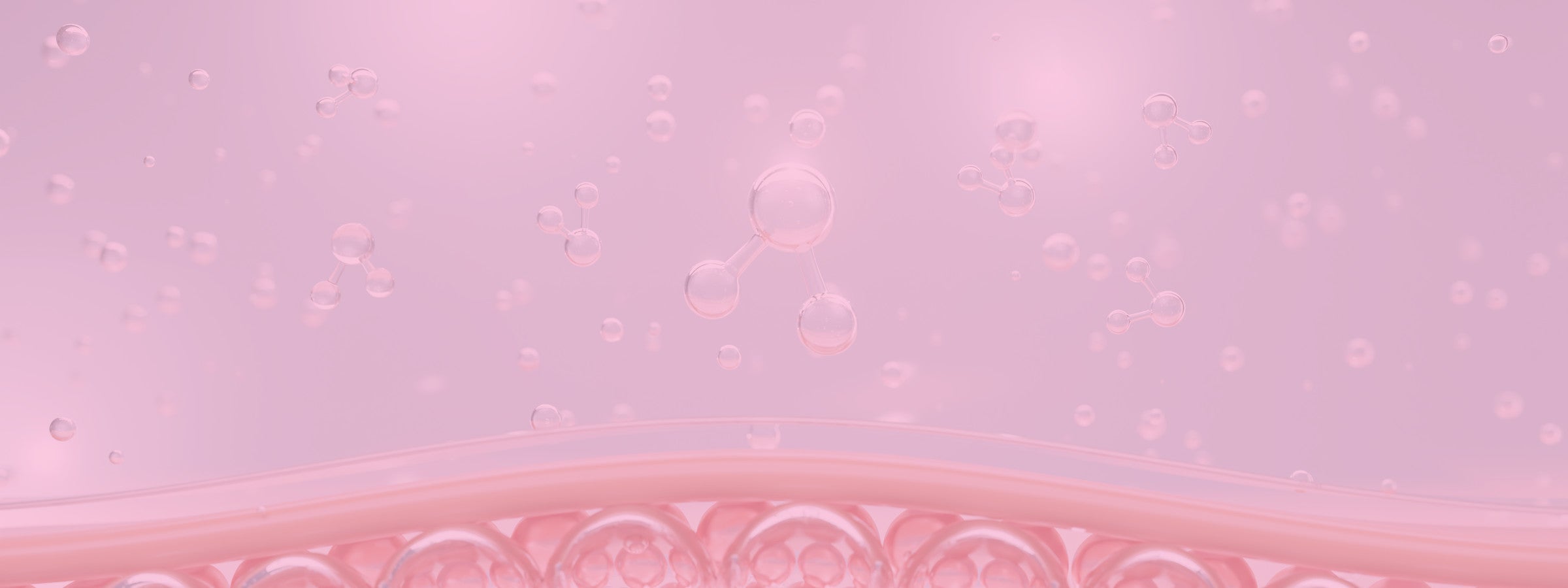 Firmness & Bounce