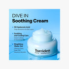 Torriden DIVE IN Low Molecular Hyaluronic Acid Soothing Cream 100ml