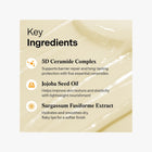 Torriden SOLID IN Ceramide Lip Essence 11ml